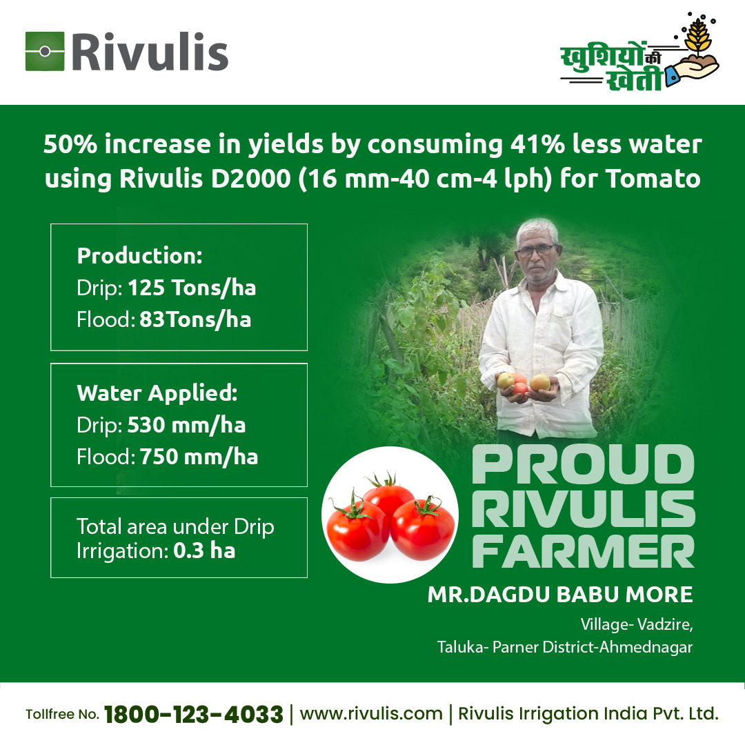 Rivulis_in's tweet photo. Meet Mr.Dagdu Babu More, our proud 💙 Rivulis Farmer, who cultivated Tomato crop and achieved a remarkable increase in yield while conserving water💧🌎 using our innovative irrigation solution.
#Rivulis #tomato #IncreaseYields #KhushiyonkiKheti #AnandachiSheti #joyoffarming https://t.co/NMBZjgNGit