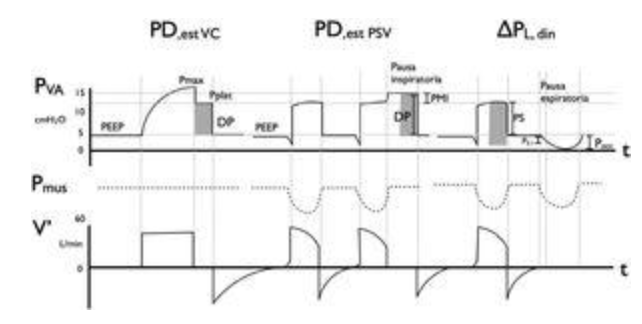 Fede Gordo-Vidal tweet media