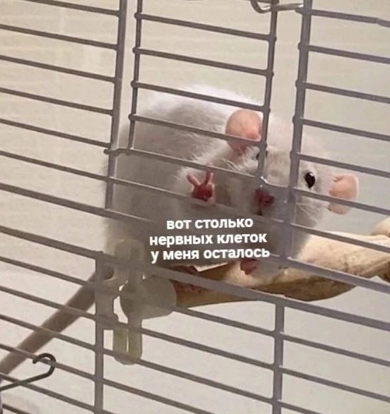 _StiGi's tweet photo. как мне всё остопиздело, кто б знал, а. https://t.co/negVW3QR8S