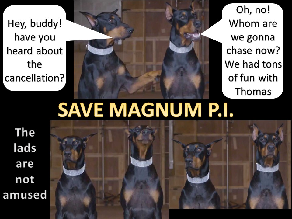 To keep #SaveMagnumPI and #RenewMagnumPI trending, here's another collage to motivate NBC to renew this fan-favorite show.