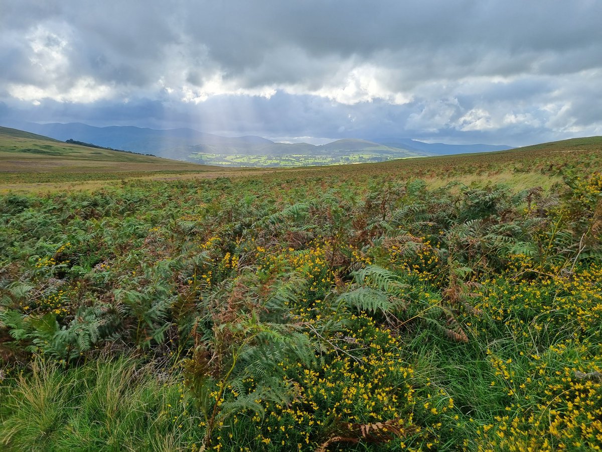 penny_short's tweet photo. Although we got pretty damp our spirits were not dampened ๐ and as I hoped there were a few moments later on in the day when the clouds cleared a little on #HadriansHighway https://t.co/iiPlK3yi1j