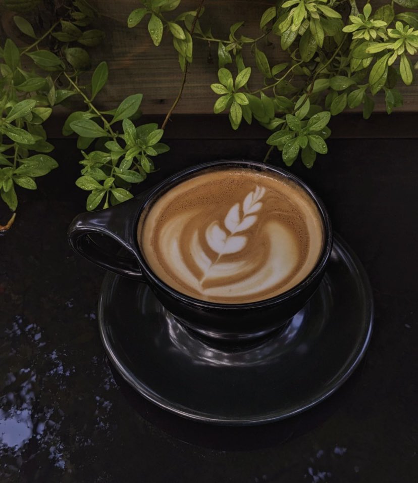 Espresso yourself Chicago! Lets us caffeinate your Monday! Our cafe is open until 3pm today! ☕️

#greenpostcafe #lincolnsquare #monday #mondaymotivation #coffee #coffeetime #latteart #lattelove #coffeelover #coffeelovers #cafesofinsta #chicagocoffeeshops #chicagocafes #cappucino