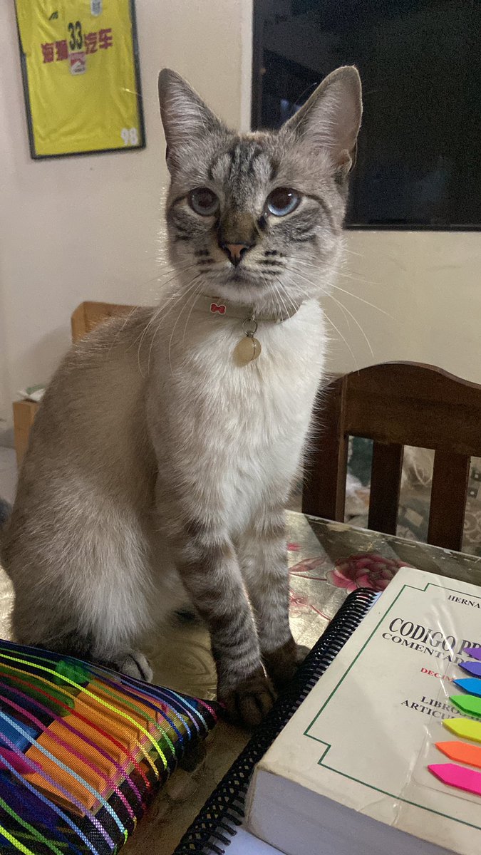 𝐵𝑎𝑟𝑏𝑎𝑟𝑎 tweet media