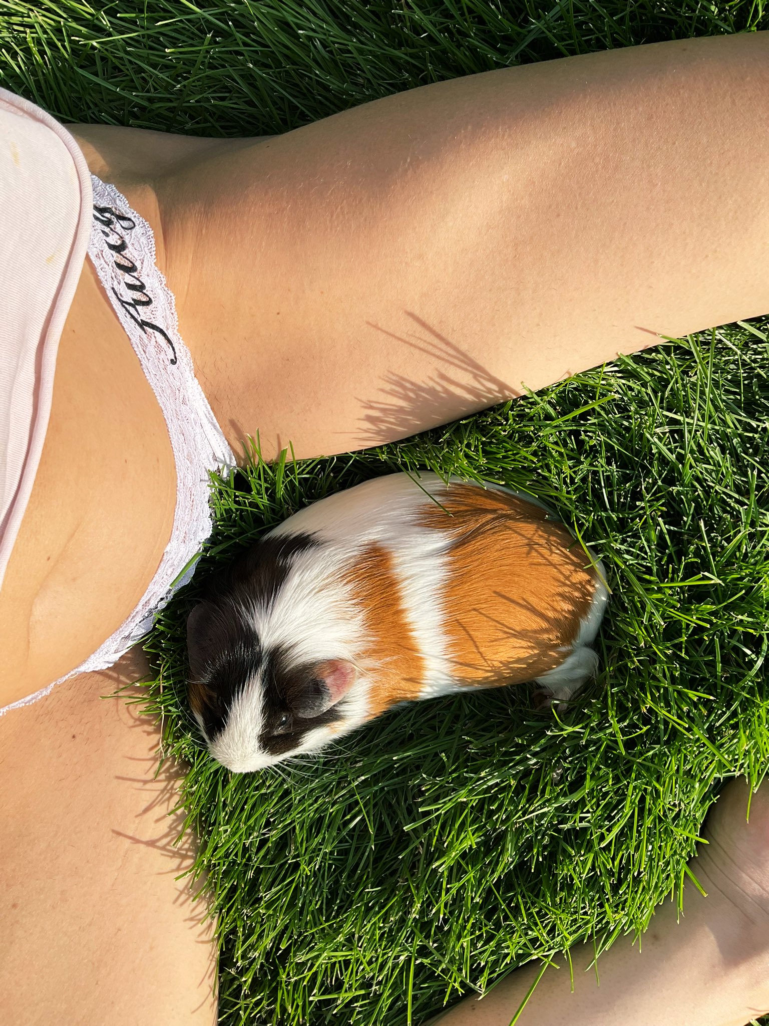 2 pic. My only pair of #Juicy panties left… & my little cutie pie #GuineaPig https://t.co/xLUrgq72UJ