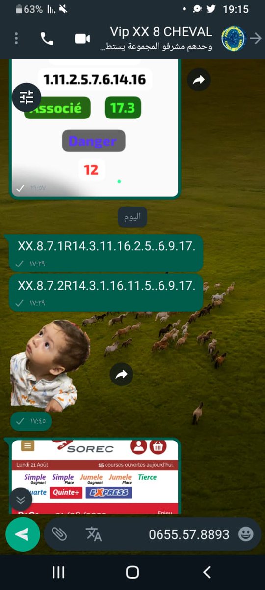 paris turf tweet media