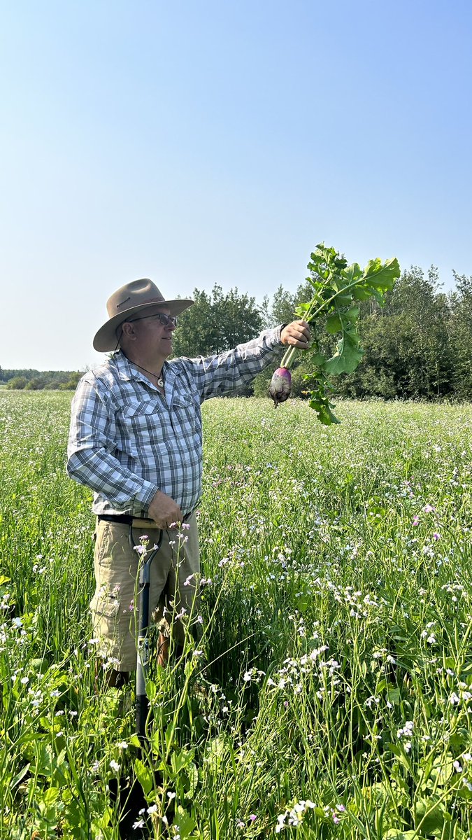 Test question: Why are turnips good for the soil? 

@KevinElmy told us why today but do you know? 

#soilhealth #albertaag #peaceregion