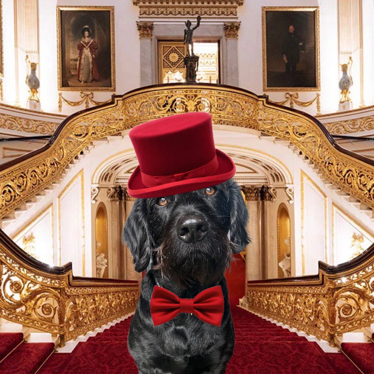 Vinnie & Toby❤️ Jasper🌈 Hartson🌈 tweet media