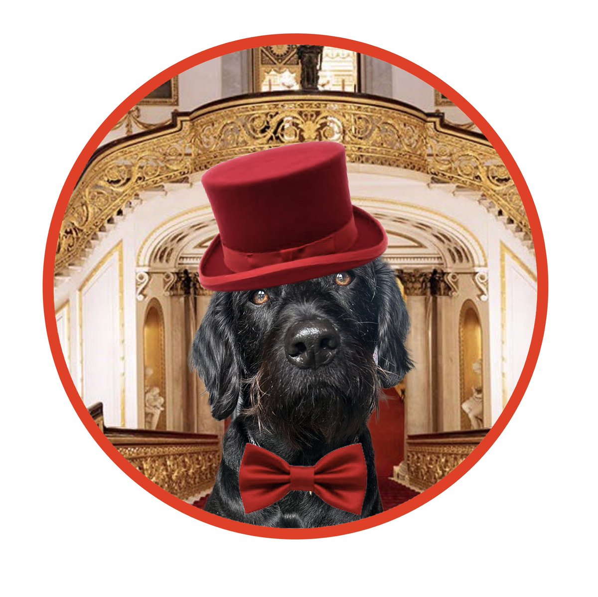 Vinnie & Toby❤️ Jasper🌈 Hartson🌈 tweet media