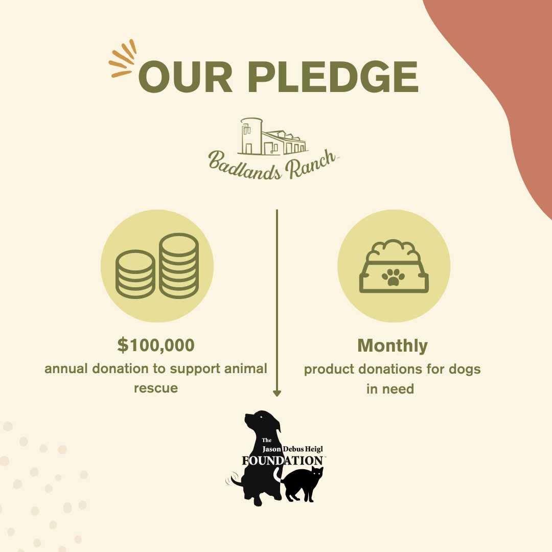 Every paw deserves a place to call home. 🐾 Today, we're shining a light on #InternationalHomelessAnimalsDay and reminding ourselves of the power of compassion and adoption.

Together with the @jasonheiglfound we can make a difference in a pet's life. 🌟 

#AdoptDontShop