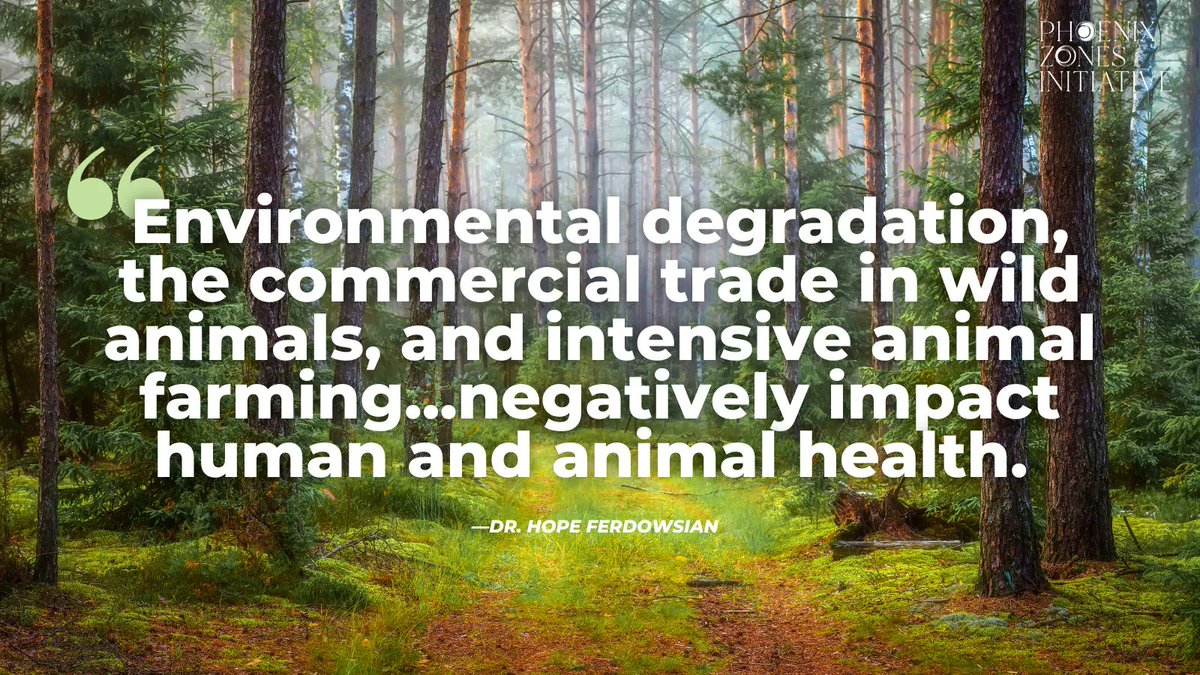 PZInitiative's tweet photo. Fires. Floods. A COVID-19 resurgence. It's time for a revolution focused on centering prevention, justice & the connections between the health & wellbeing of people, animals & the planet. Find out more:
https://t.co/xvx4VT4J89
@PublicHealthMag #JustOneHealth #SilentSpring https://t.co/vGRIfvMz39