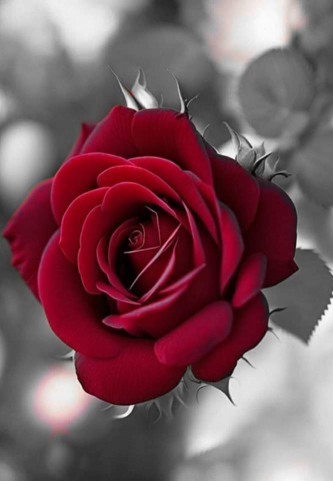 #FPPG
<a href="/itijx/">P MAN</a>
<a href="/jrilll/">𓋜 ĴỮŘI</a>
<a href="/ijjpk/">⭐⭐⭐</a>
<a href="/ijj08/">Cato</a>
<a href="/_R_1y/">s</a>
<a href="/Ghz79/">❃ 𝔾𝕙𝕒𝕫𝕒𝕝𝕒𝕙 𝕊𝕒𝕕𝕒𝕗 ❃</a>
@mill1rz
<a href="/_HZTT/">عيون المها 🇮🇶</a>
@83___G
@Tr_1611
<a href="/g__zal2/">Crypto Solana 100x 📈</a>
<a href="/tou_fitri/">Paloma_Blanca</a>
<a href="/AW_RJP/">Abdul wahid</a>
@__bbb_2
<a href="/gg_yy22/">Bird</a>
<a href="/mppp77/">Peter Atkins</a>
@ho88_sh
<a href="/Rm7866/">Riaz Khan</a>
<a href="/homyian/">حامد حميان (Hamed Homyian)</a>
@arjuan77
<a href="/shd0016/">Shahid</a>
<a href="/2_somea/">Somea Mahmoud</a>
<a href="/binzood1/">غانمـ</a>
<a href="/NighatYZ/">Nighat Yousafzay</a>
<a href="/Dr_abeer8/">عبير80K Abeer</a>
<a href="/BeerAdel2/">🇦🇹 Beer Adel🇦🇹</a>
<a href="/Alaayous3/">alaa amy</a>
<a href="/2Mossman/">Mossman {2}</a>
<a href="/zahrat_lotas/">❤️S.zahra❤️</a>
@sheeba_Ali16