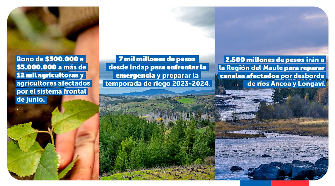 INDAP_MAULE's tweet photo. Juntas y juntos nos ponemos de pie 🇨🇱 Presidente Gabriel Boric anunció en Linares bono de hasta 5 millones de pesos para agricultores (as) afectados (as)por el #SistemaFrontal de junio, muchos de los cuales fueron doblemente afectados en esta emergencia. Revisa las medidas 👇🏽 https://t.co/KhpLIWJl5m