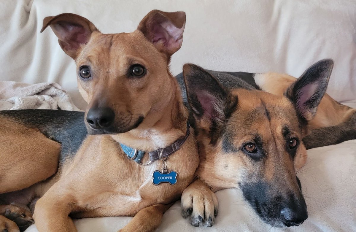 Turf Prophit tweet media