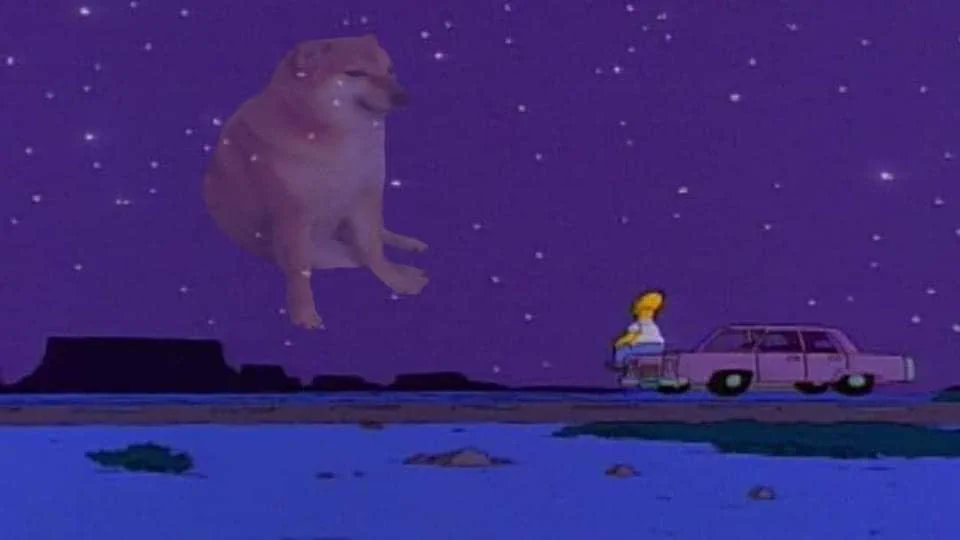 homero_magio's tweet photo. #RIPCheems https://t.co/mCjiV0ymjQ