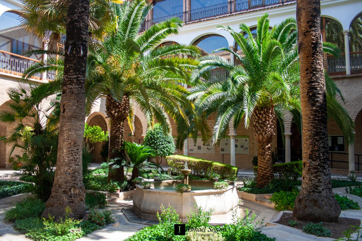 ismusephoto's tweet photo. Patio interior del Antiguo Hospital San Juan de Dios de Jaén

#Jaen #Andalucia #España #hospital #hospitalsanjuandedios #foto #fotografia #monumento #photography #photo #patiointerior https://t.co/8MxLRgEpOG