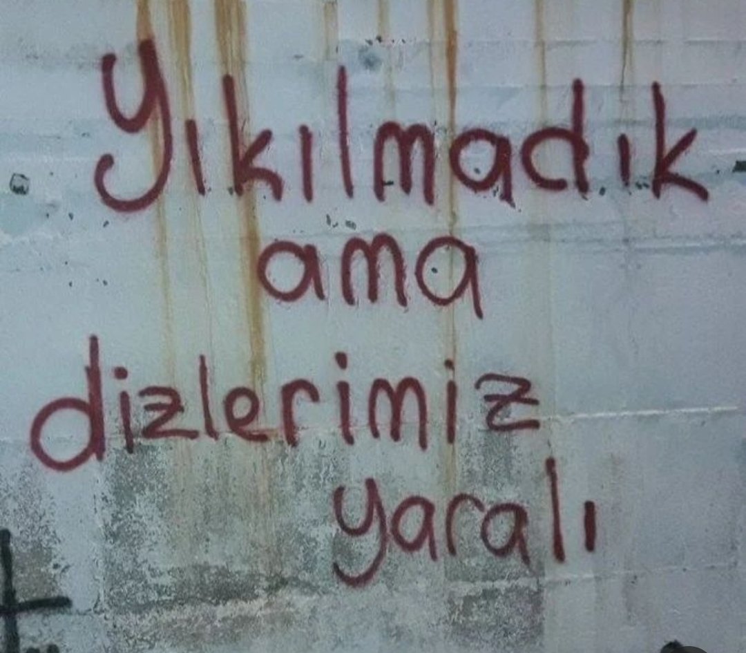 CAN⚡🌹 (@emn_canm1) on Twitter photo 