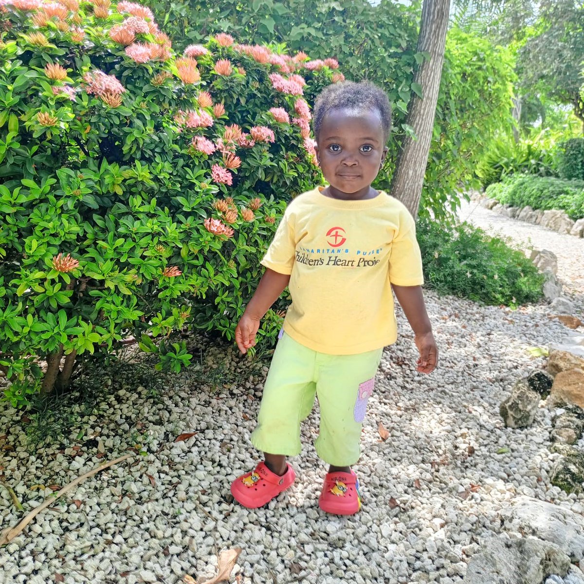 Franklin_Graham's tweet image. Would you pray for 4-year-old Diana and 2-year-old Isabel? Both girls are from Uganda and will be having life-saving heart surgery tomorrow at a hospital in Grand Cayman through @SamaritansPurse Children’s Heart Project.