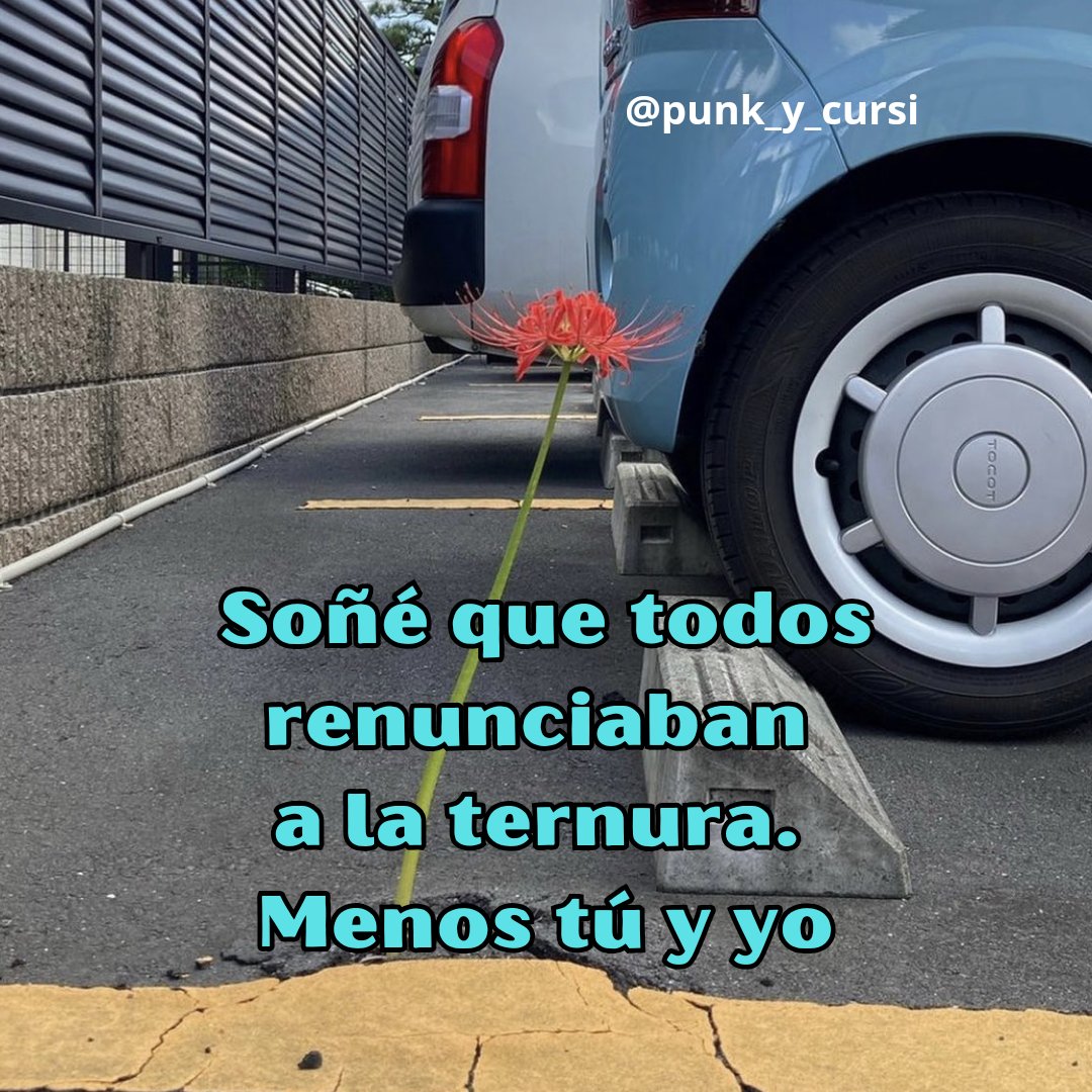 punk_y_cursi's tweet photo. ⚘️ https://t.co/uIZNiR5RSU