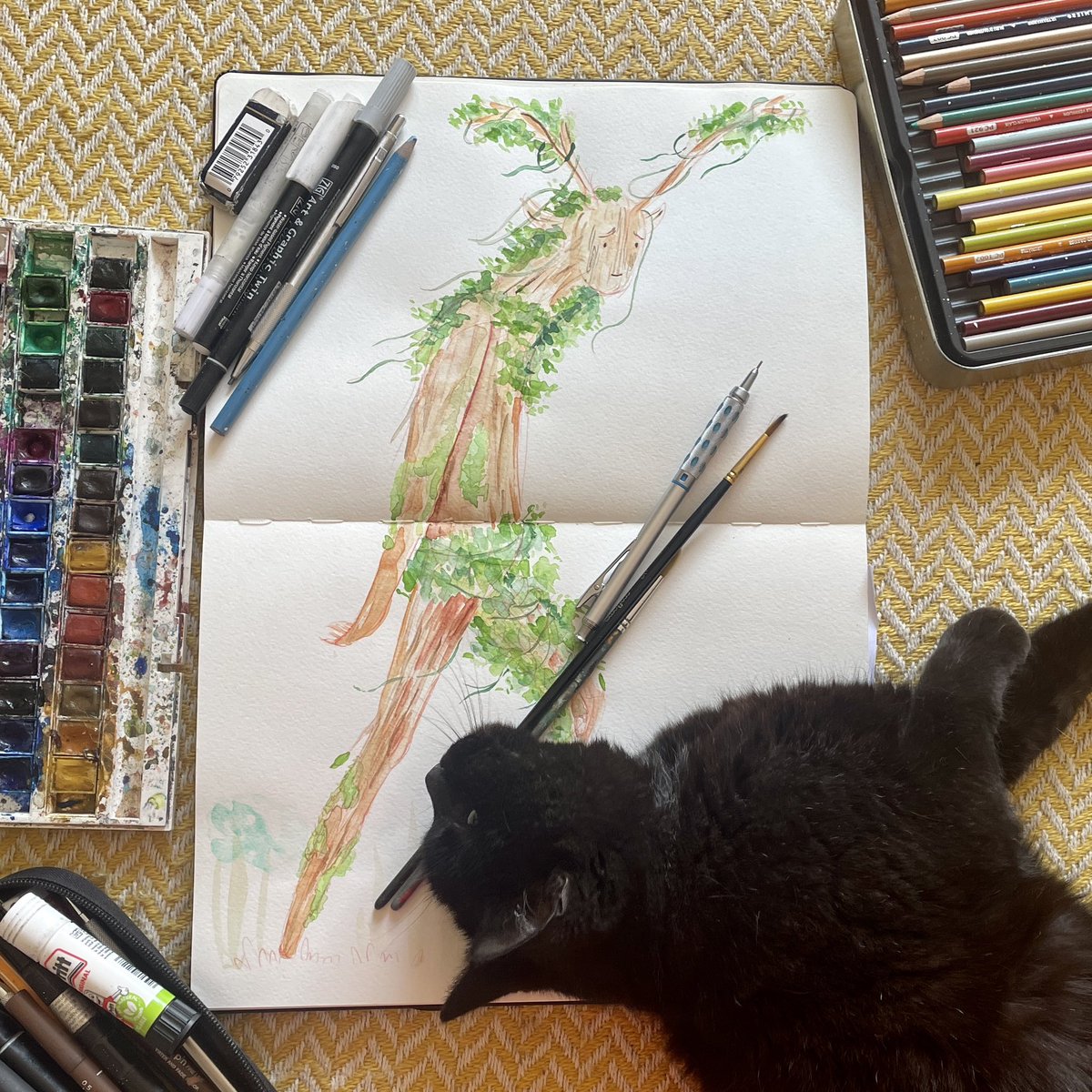 Corryn Webb Illustration tweet media