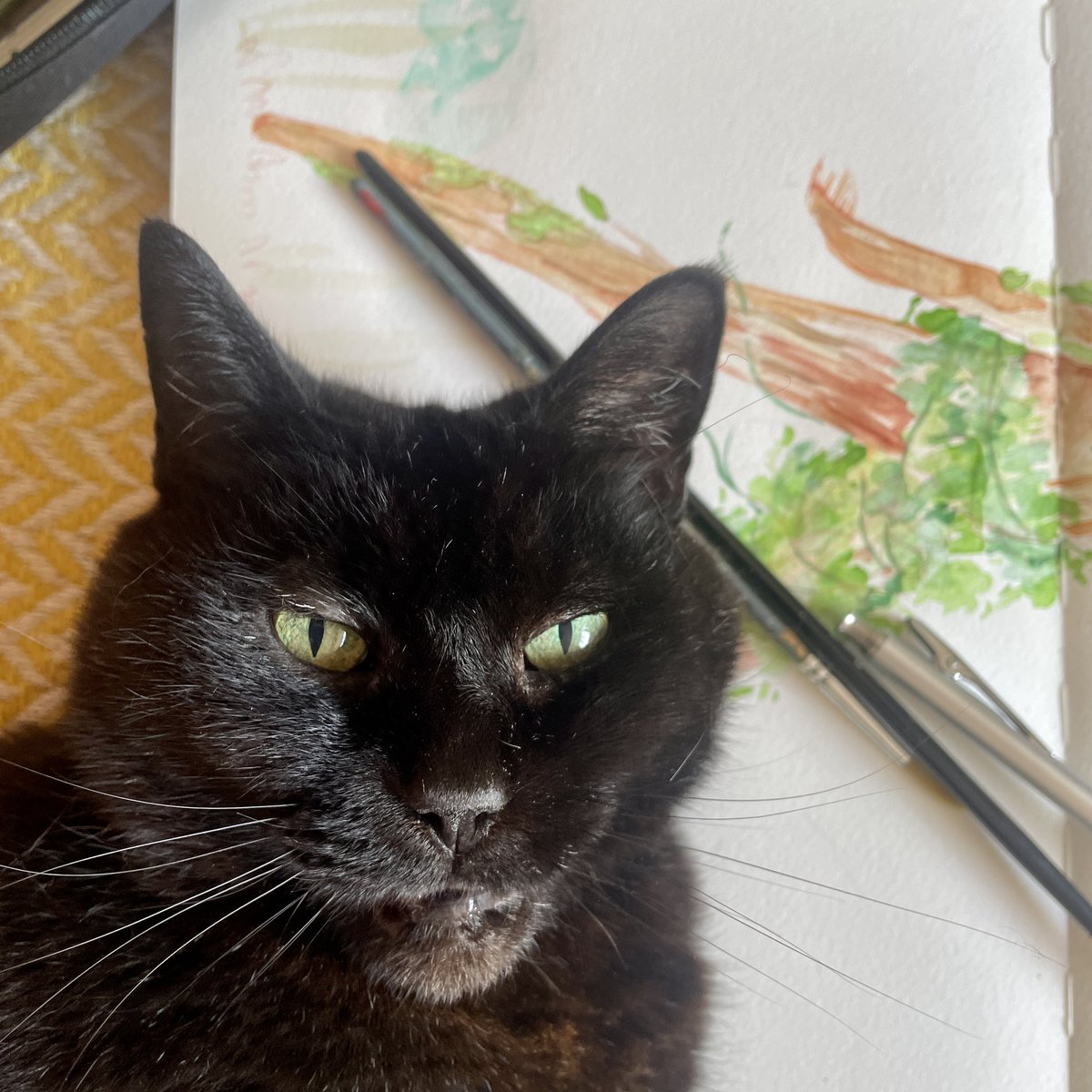 Corryn Webb Illustration tweet media