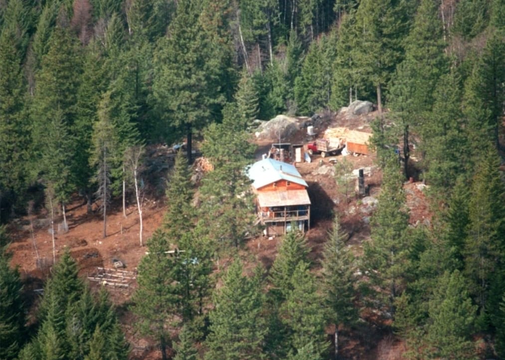 Libertarian Party tweet media