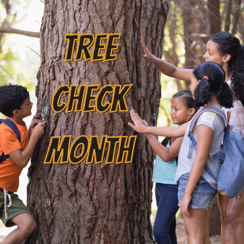 It’s Tree Check Month! Take this time to try out one of these invasive insect activities - Protect our forests AND have outdoor fun! aphis.usda.gov/aphis/resource… #ALB #TreeCheckMonth