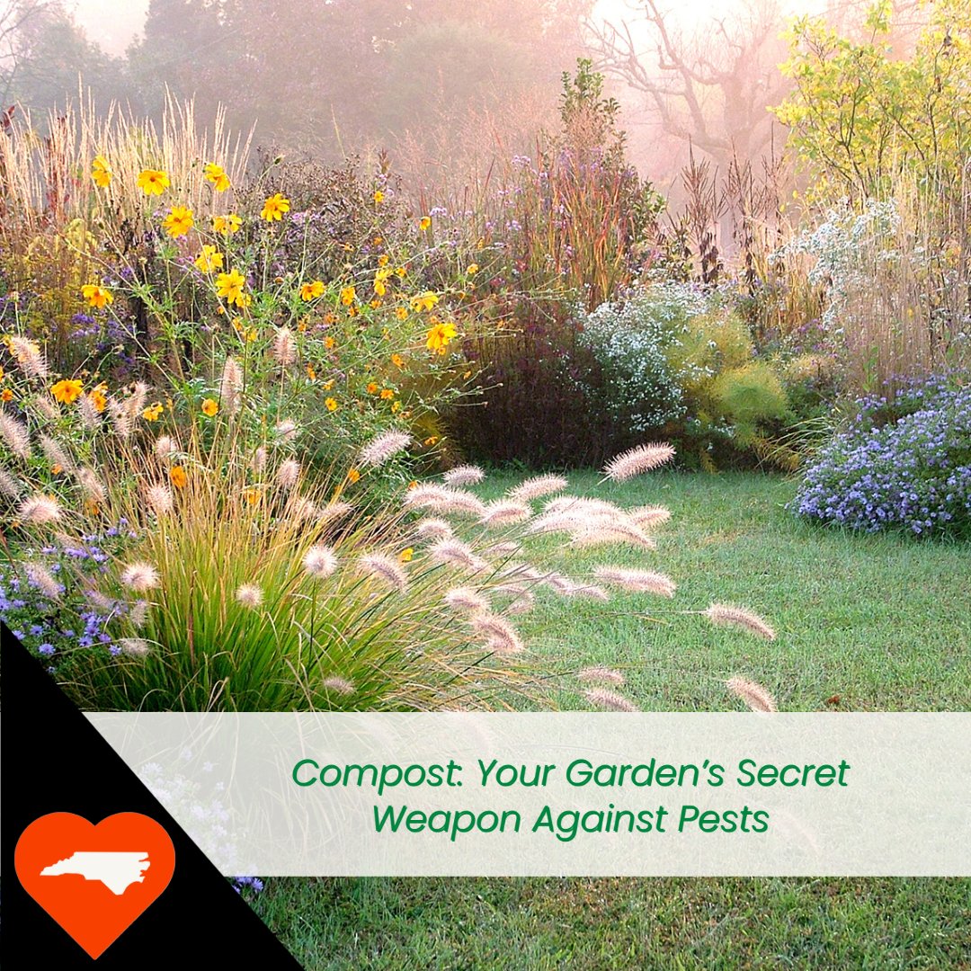 NCCompostingCouncil tweet media