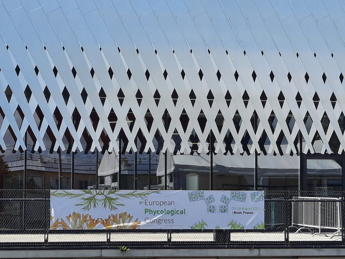 Sektion Phykologie tweet media