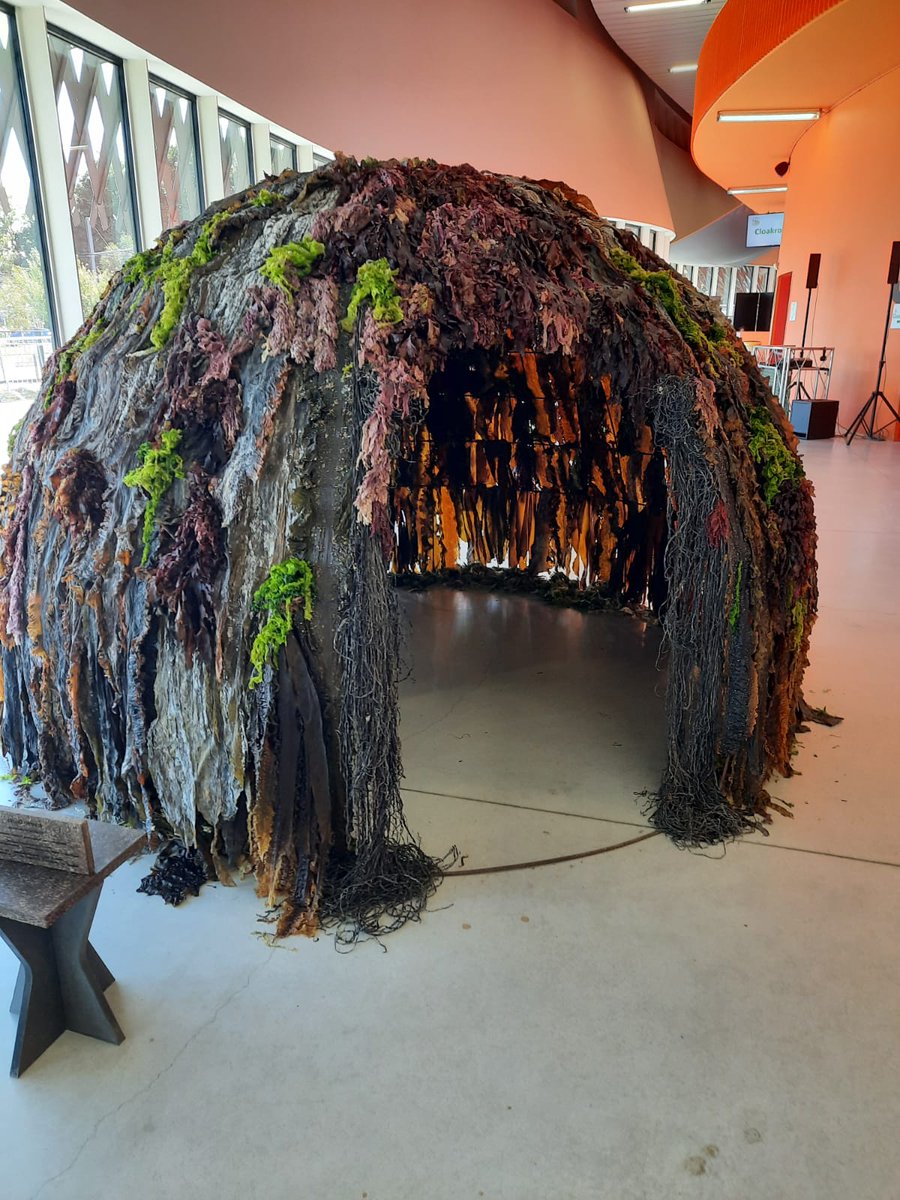 Sektion Phykologie tweet media