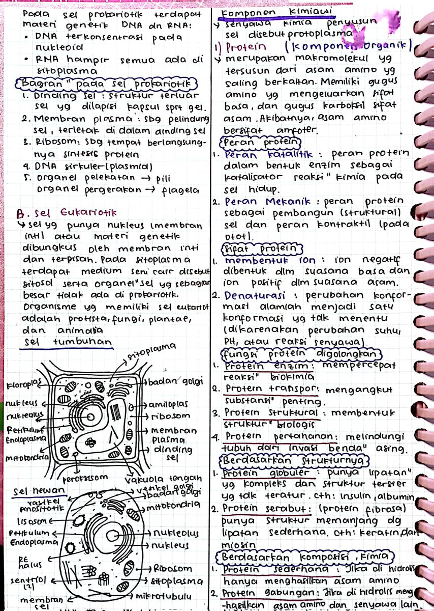 putthagoras tweet picture