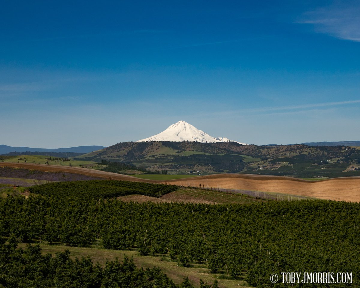 RISING ABOVE

Featured in the New Landscapes Gallery tobyjmorris.com/LANDSCAPES

Prints and wall art available

#mounthood #snowcapped #oregon #mountain #cascades #snow #landscape