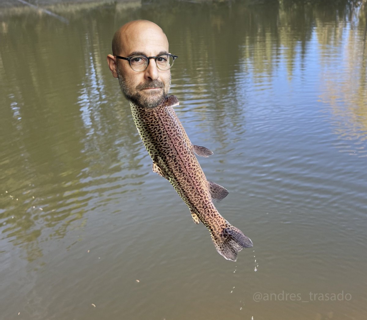 Andrés Trasado tweet media