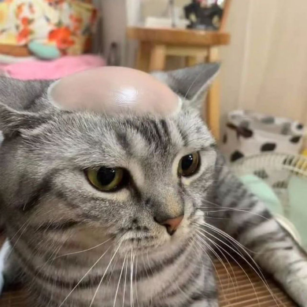 gicgik_'s tweet photo. https://t.co/MmS4SS0LH0
