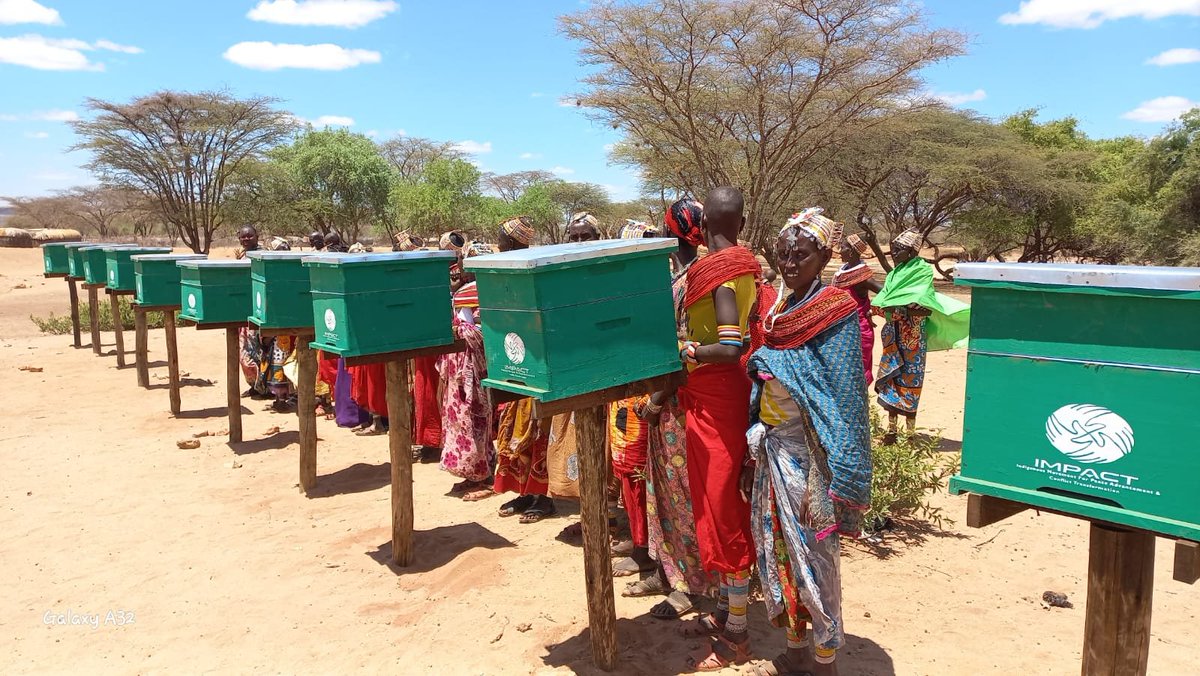 Kenya_IMPACT's tweet photo. We distributed 30 bee hives to Pusikishu Women group in Koya,Nairibi Youth group and Nairaprap women group in Lontolio, Laisamis Ward. They were trained on the general management of beehives, honey harvesting  and the concept of Village Savings and Loaning Association Model. https://t.co/iDm5dsmJaf