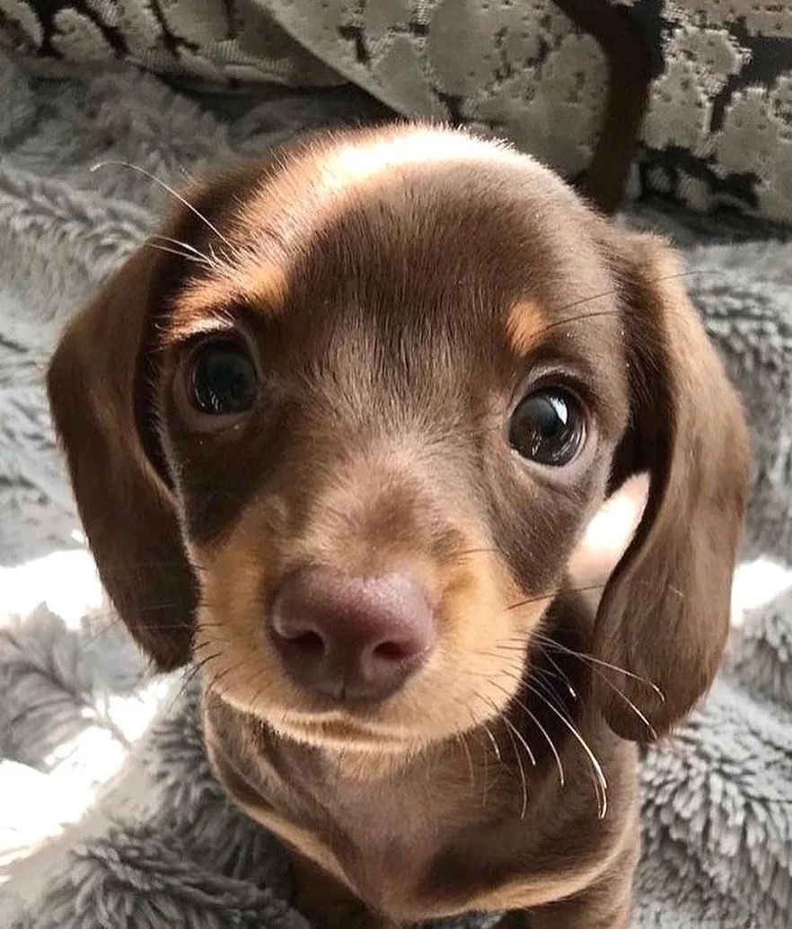 funcomstore's tweet image. Adını çantanızdaki eşyalardan biri koymak zorundasınız ne koyardınız?