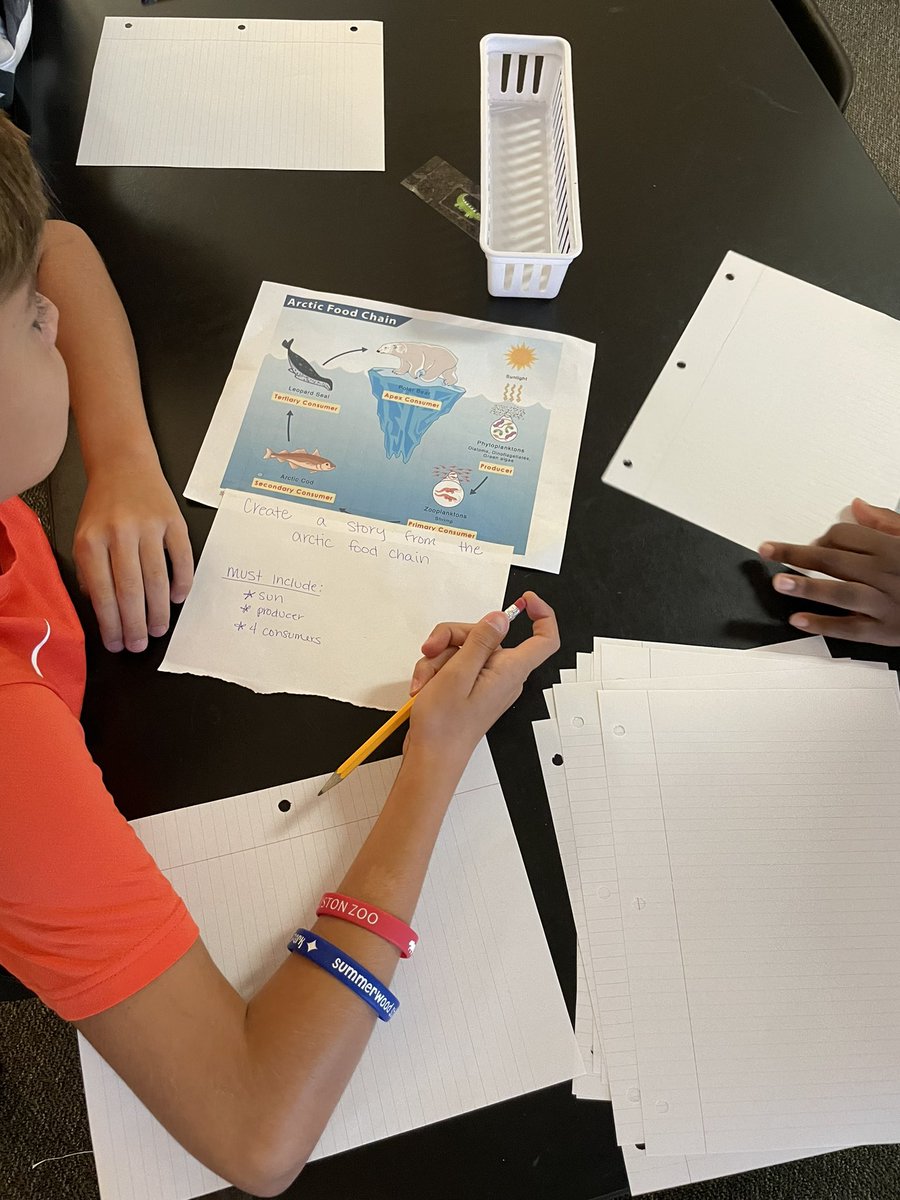 Explaining and justifying Food webs, by creating stories! #wearelakeshore #leopardspotting <a href="/HumbleISD_LSE/">Lakeshore Elementary</a>