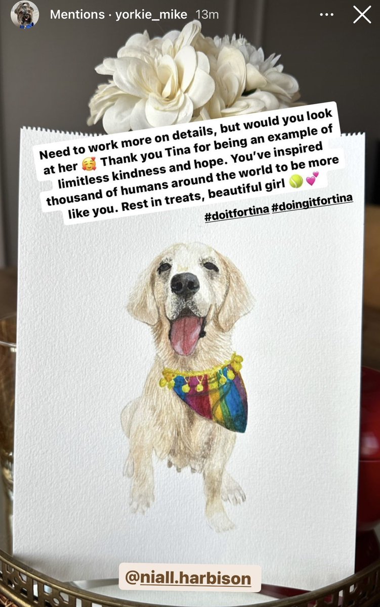 @Pinksho I didn’t start it but if you look at #doingitfortina #doitfortina here or on Instagram you’ll have a pretty full heart. Dogs all over the world and people being spoilt and kind. Some legacy for Tina 🥰