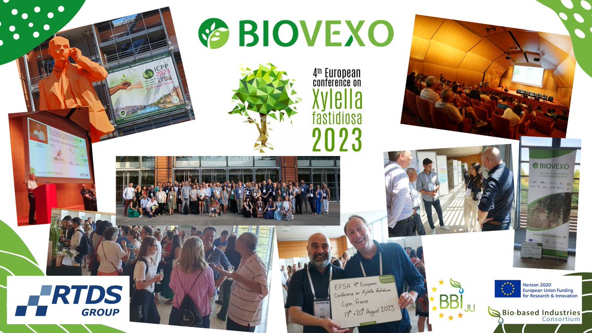 Massive #THANKS from @BiovexoProject to @Plants_EFSA @BexylP @Euphresco @ERC_Research & all involved in #success of #xylella23! #ICPP23 #science #research #Lyon #xylella +200 participants +50 posters 👏👏👏 🫒🔬🧑‍🌾🧑‍🔬🇪🇺💚