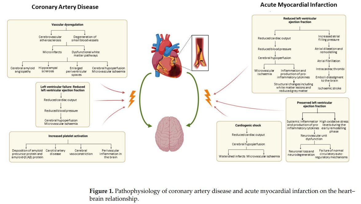 Ching-Hui SIA (@chinghuisia) on Twitter photo Pleased to share our paper on AMI and risk of CI / Dementia in <a href="/MDPIOpenAccess/">MDPI</a> <a href="/Biology_MDPI/">Biology MDPI</a> available at mdpi.com/2079-7737/12/8… <a href="/Loojinghong/">ljinghong</a> <a href="/yaoneng_teo/">Teo Yao Neng</a> <a href="/yaohao_teo/">Yao Hao Teo</a> <a href="/Tonyli1992/">Li Tony</a> <a href="/DrBenjaminTan/">Benjamin Tan</a> <a href="/leonardyeo1/">leonard yeo</a> <a href="/chanyymark/">Mark Chan</a> <a href="/NUSingapore/">NUS</a> <a href="/NUSMedicine/">Yong Loo Lin School of Medicine</a> <a href="/NUSResearch/">NUS Research</a> #NUHCS Pleased to share our paper on AMI and risk of CI / Dementia in <a href="/MDPIOpenAccess/">MDPI</a> <a href="/Biology_MDPI/">Biology MDPI</a> available at mdpi.com/2079-7737/12/8… <a href="/Loojinghong/">ljinghong</a> <a href="/yaoneng_teo/">Teo Yao Neng</a> <a href="/yaohao_teo/">Yao Hao Teo</a> <a href="/Tonyli1992/">Li Tony</a> <a href="/DrBenjaminTan/">Benjamin Tan</a> <a href="/leonardyeo1/">leonard yeo</a> <a href="/chanyymark/">Mark Chan</a> <a href="/NUSingapore/">NUS</a> <a href="/NUSMedicine/">Yong Loo Lin School of Medicine</a> <a href="/NUSResearch/">NUS Research</a> #NUHCS