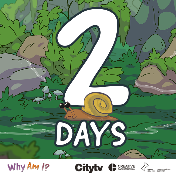 WhyAmIKids (@whyamitvshow) on Twitter photo If you move too slow, you might miss new episodes of #WhyAmIKids starting ⏰August 23 to on Citytv Saskatchewan 😁
<a href="/creativesask/">Creative Saskatchewan</a> <a href="/CMF_FMC/">Canada Media Fund</a> If you move too slow, you might miss new episodes of #WhyAmIKids starting ⏰August 23 to on Citytv Saskatchewan 😁
<a href="/creativesask/">Creative Saskatchewan</a> <a href="/CMF_FMC/">Canada Media Fund</a>