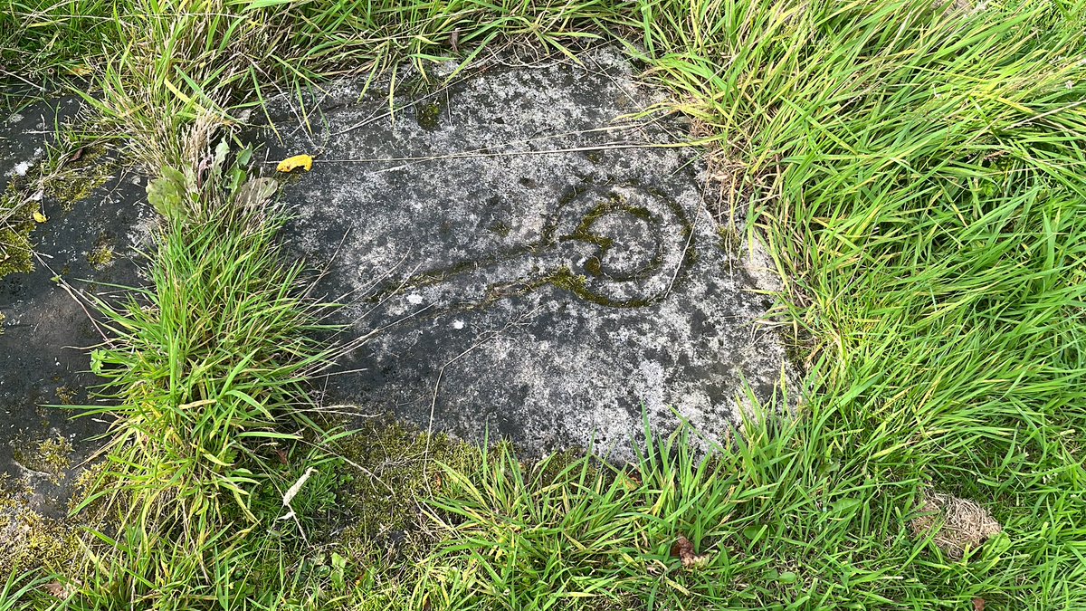 Dr. Gaele Macfarlane tweet media