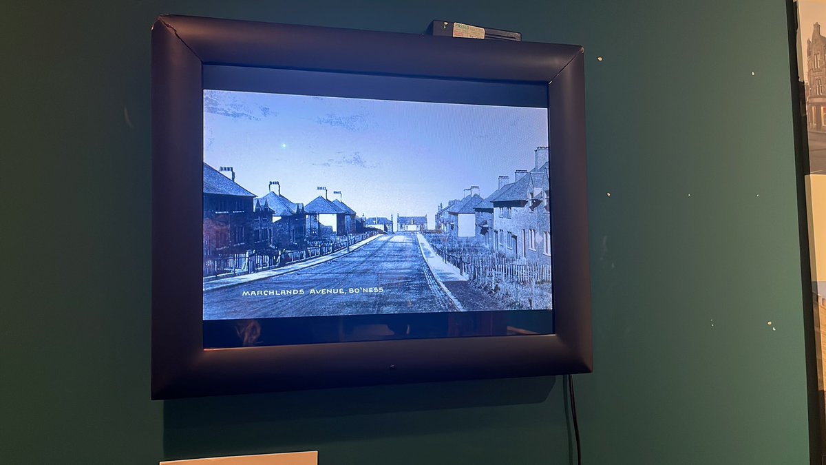 Dr. Gaele Macfarlane tweet media