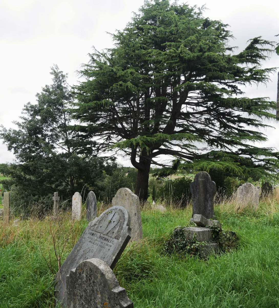 Ford Park Cemetery • Plymouth 🪦

Two of my great-great-aunts are buried somewhere in this beautiful cemetery. 

It's surreal to think that my great-great-great-grandparents once walked this cemetery to bury their daughters.

#History