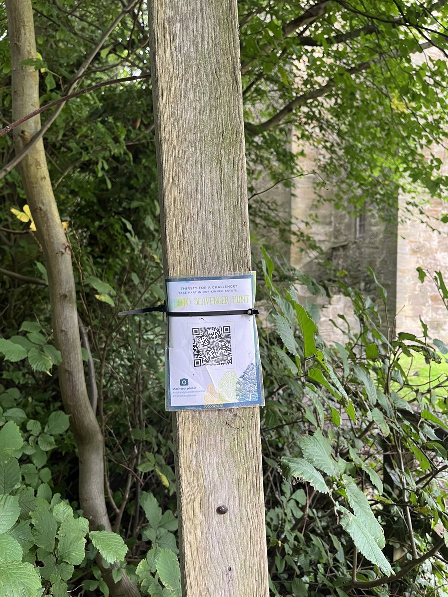 Dr. Gaele Macfarlane tweet media