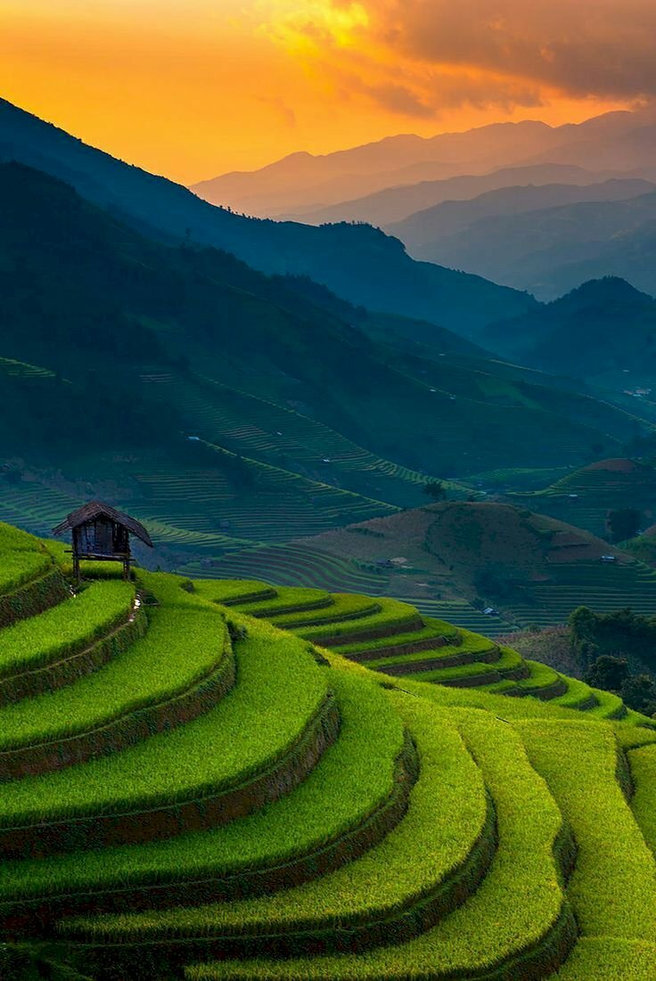 Beautiful
#nature #NaturePhotography #photography