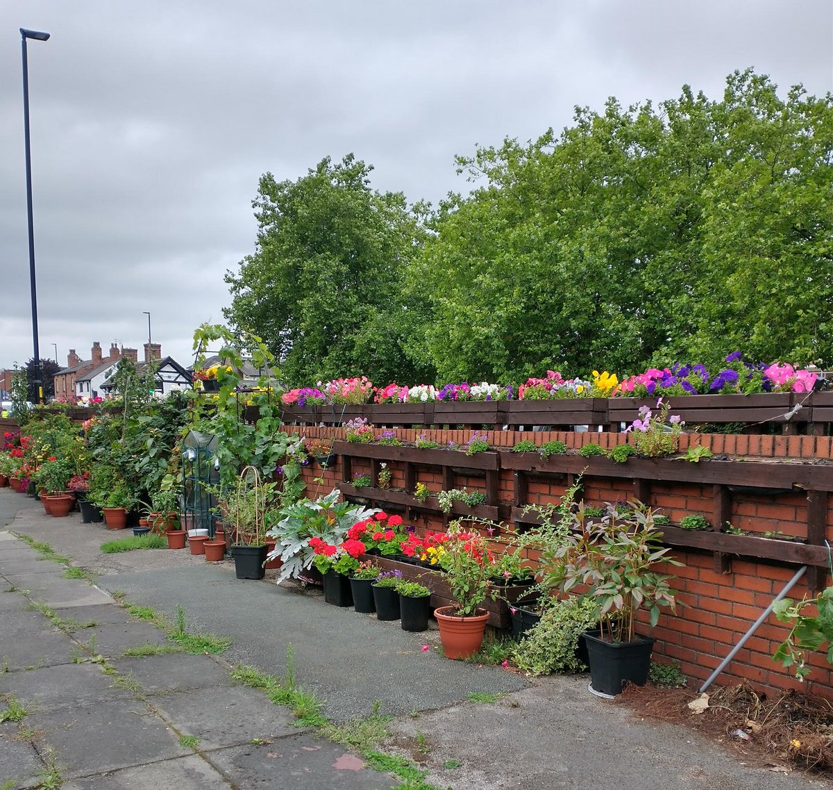 WeAreTorus's tweet photo. Teams from across @WeAreTorus @TorusFoundation and @HMSinfo joined residents to remove tonnes of rubbish including 10 fridge/freezers as part of the Fairfield & Howley #Warrington #Community #IMPACTDay!
#ConnectingWithCustomers #Community https://t.co/BKI3L4anaJ