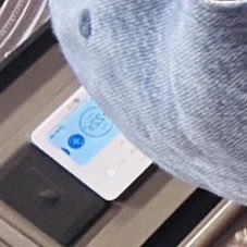 그러는 도치 넌 왜 22도야