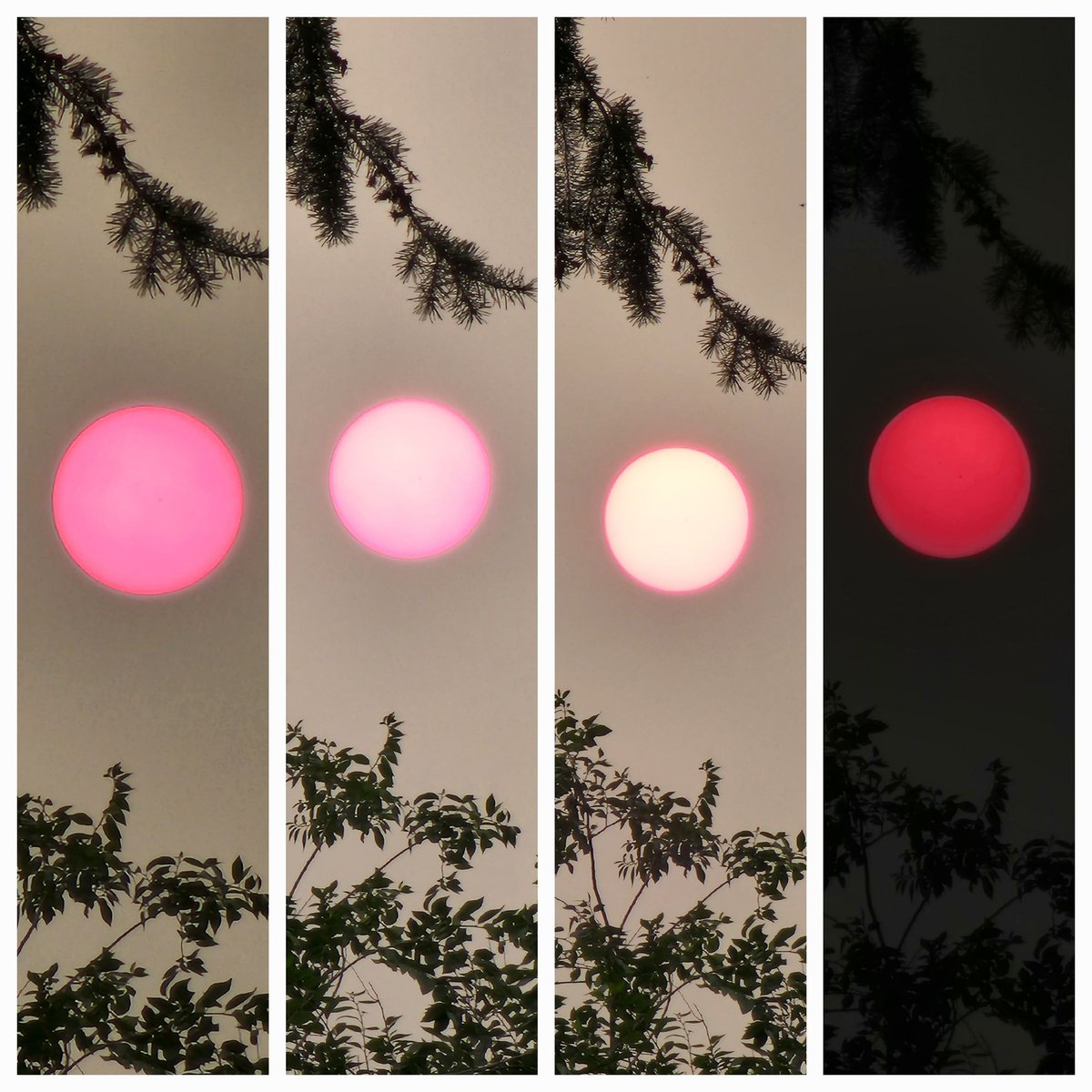 With each zoom in the color changes.. #smokysunset #sunshine #kootenaybc #bcweather #edgewood #wildfiresmoke
