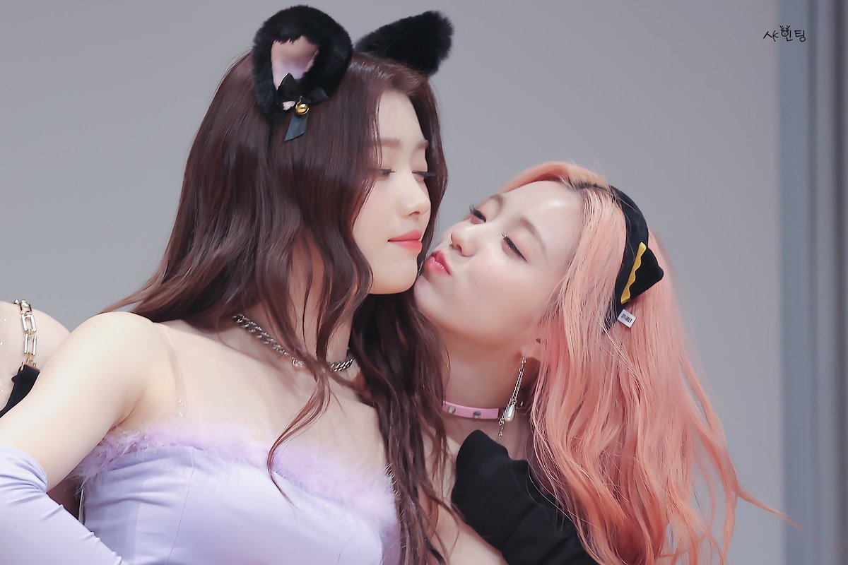 コバンザメば〜ぼん‼️ tweet media