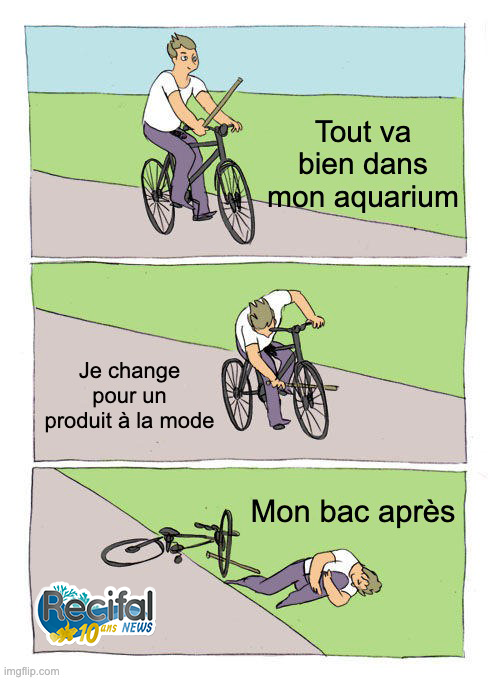 recifalnews's tweet image. On a des noms…🤣😇
#Reef #reefkeeping